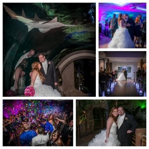 Meet your Posher, Stephen